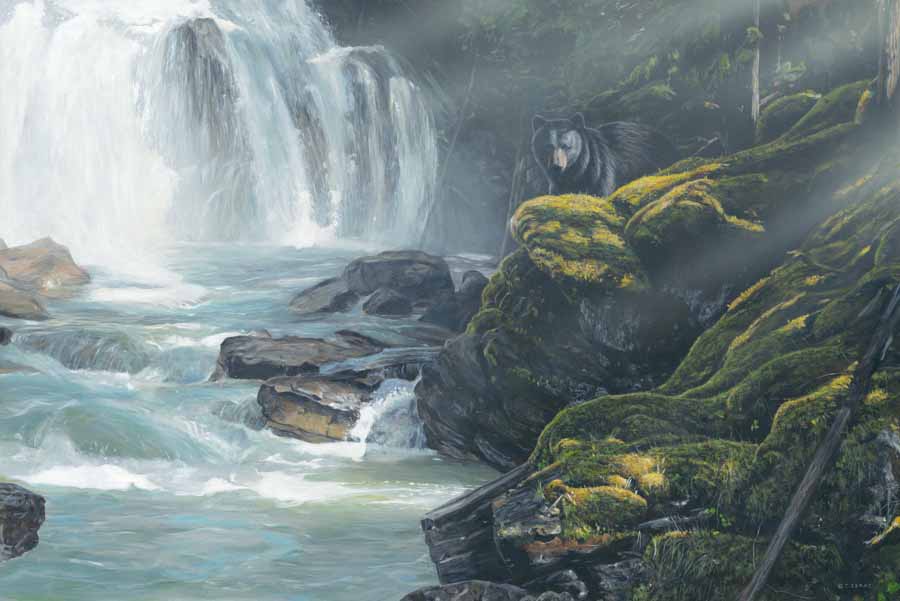 TI – By the Falls – Bear © Terry Isaac