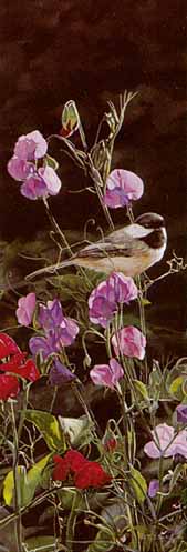 TI – Dash of Color – Chickadee © Terry Isaac