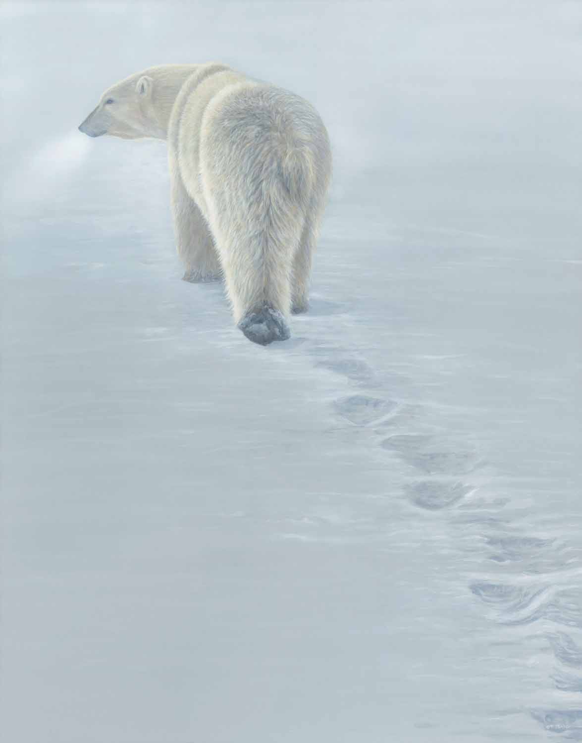 TI – Disappearing Footprints © Terry Isaac