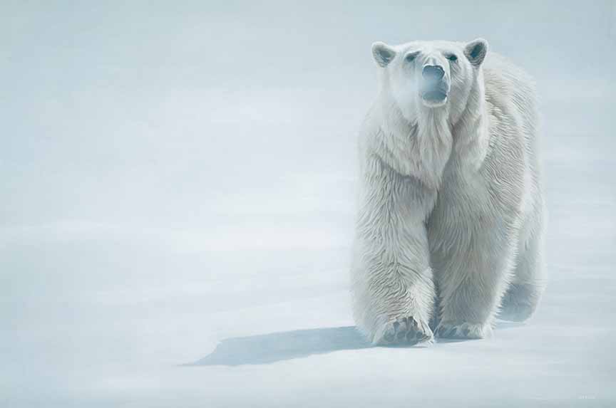 TI – Face Off – Polar Bear © Terry Isaac