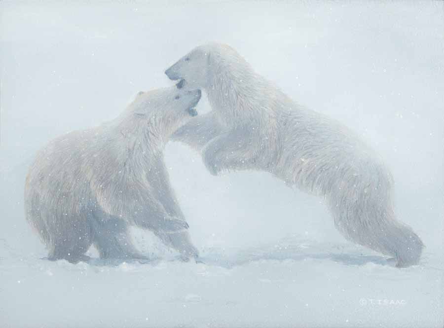 TI – Ghosts of the North © Terry Isaac