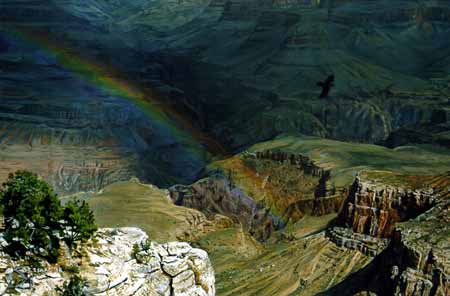 TI – Grand Canyon with Rainbow © Terry Isaac