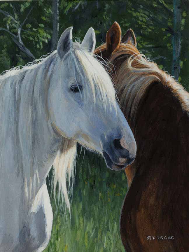 TI – Horse Whispering © Terry Isaac