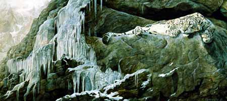 TI – Ice Castle – Snow Leopard © Terry Isaac