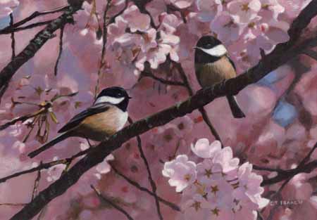 TI – In The Blossoms © Terry Isaac