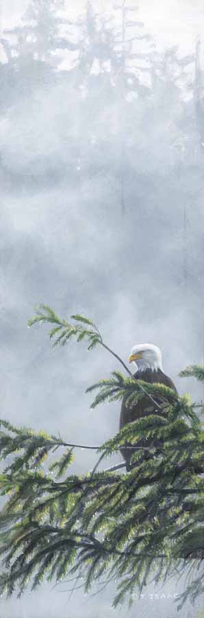 TI – In the Mist and Light – Eagle © Terry Isaac