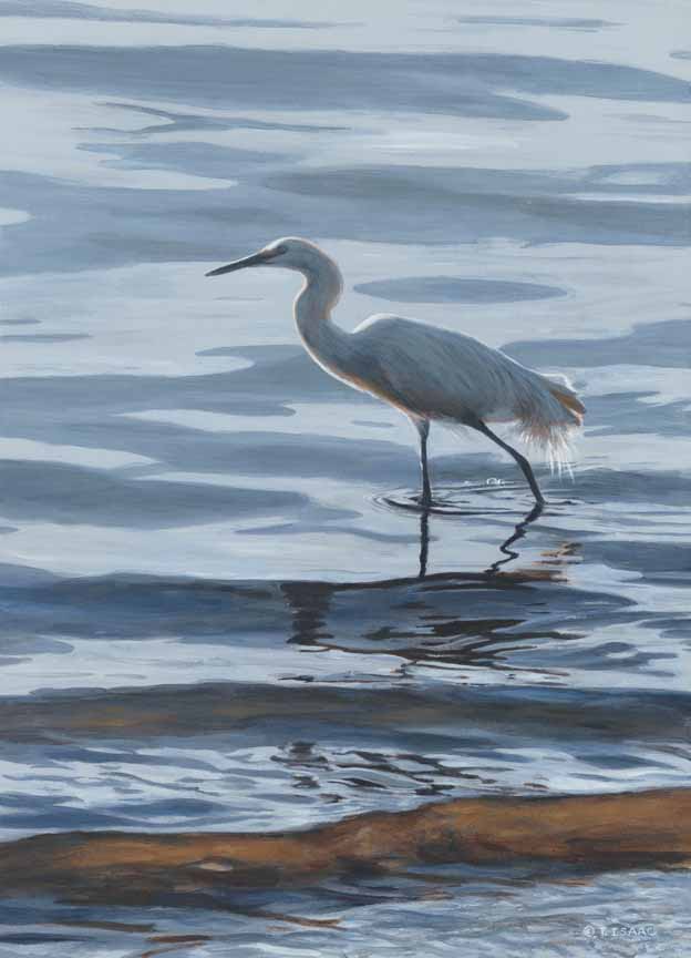 TI – In the Waves – Egret © Terry Isaac