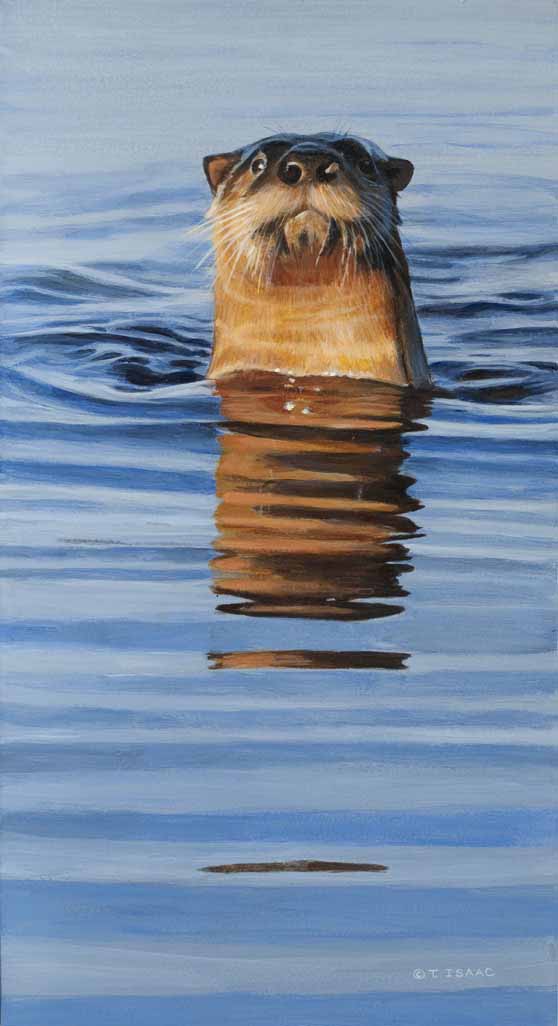 TI – Mister Personality – River Otter © Terry Isaac