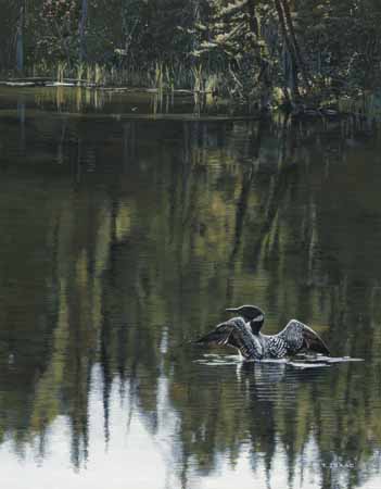 TI – Morning Reflections © Terry Isaac