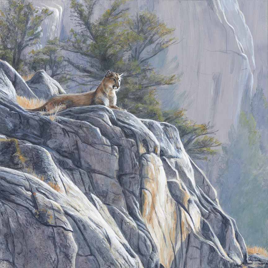 Mountain King by Terry Isaac