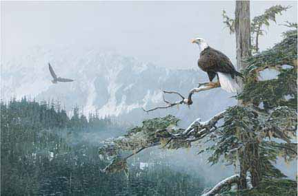TI – On Eagles Wings © Terry Isaac