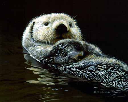 TI – Otter © Terry Isaac