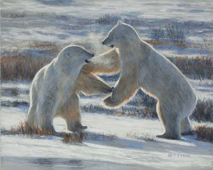 TI – Pleased to Meet You – Polar Bears © Terry Isaac