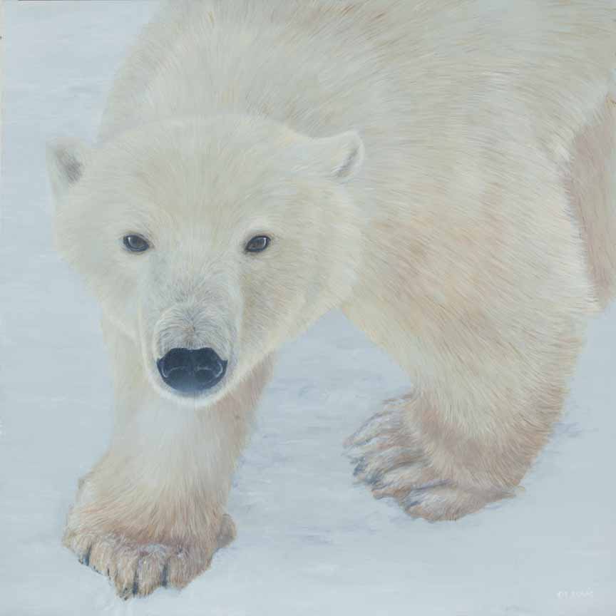 TI – Polar Expression © Terry Isaac