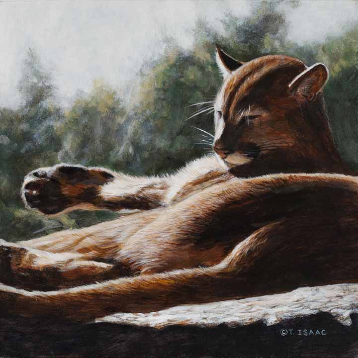 TI – Purrfectly © by Terry Isaac