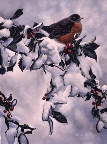 TI – Robin with Holly © Terry Isaac