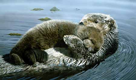 TI – Rock-A-Bye – Sea Otter © Terry Isaac