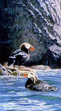 TI – Royal Couple – Tufted Puffins © Terry Isaac