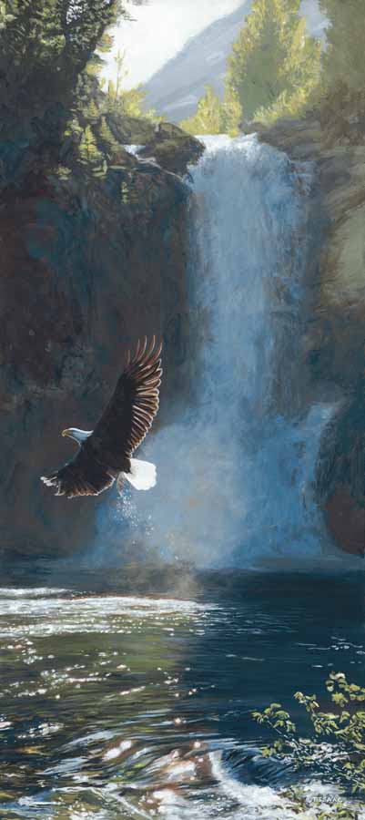 TI – Wings Over Water – Eagle © Terry Isaac