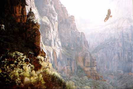 TI – Wings Over Zion – Red Tailed Hawk © Terry Isaac