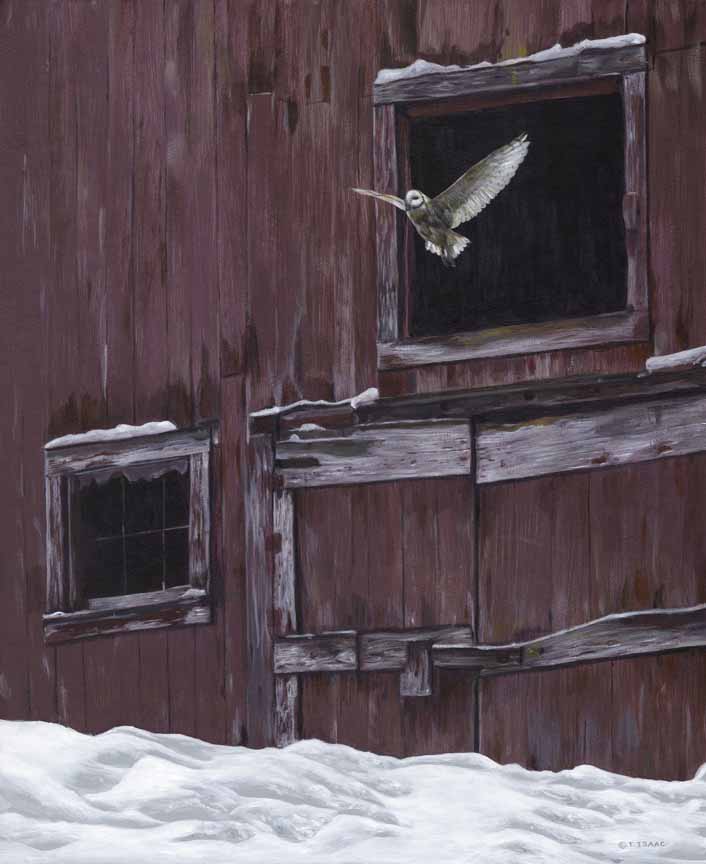 Winter Flight by Terry Isaac