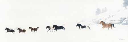 TI – Winter Run Horses © Terry Isaac