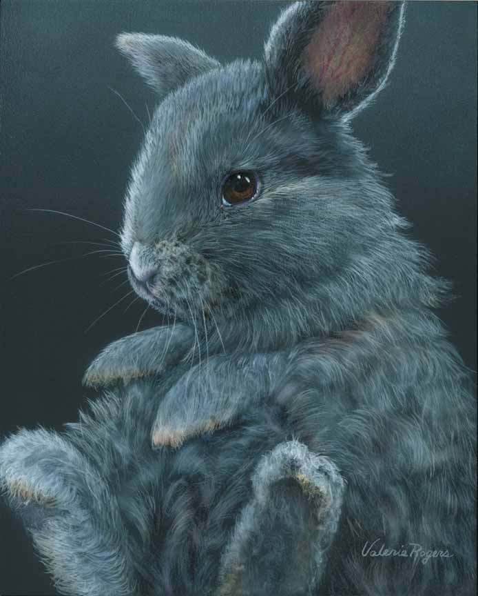 VR – Bunny Rabbit © Valerie Rogers