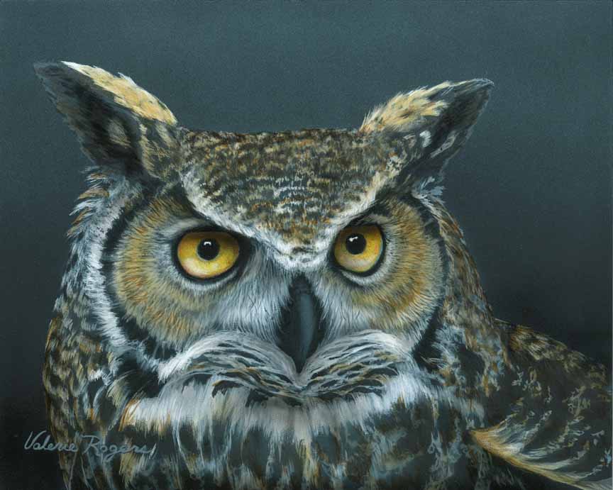 VR – Great Horned Owl © Valerie Rogers