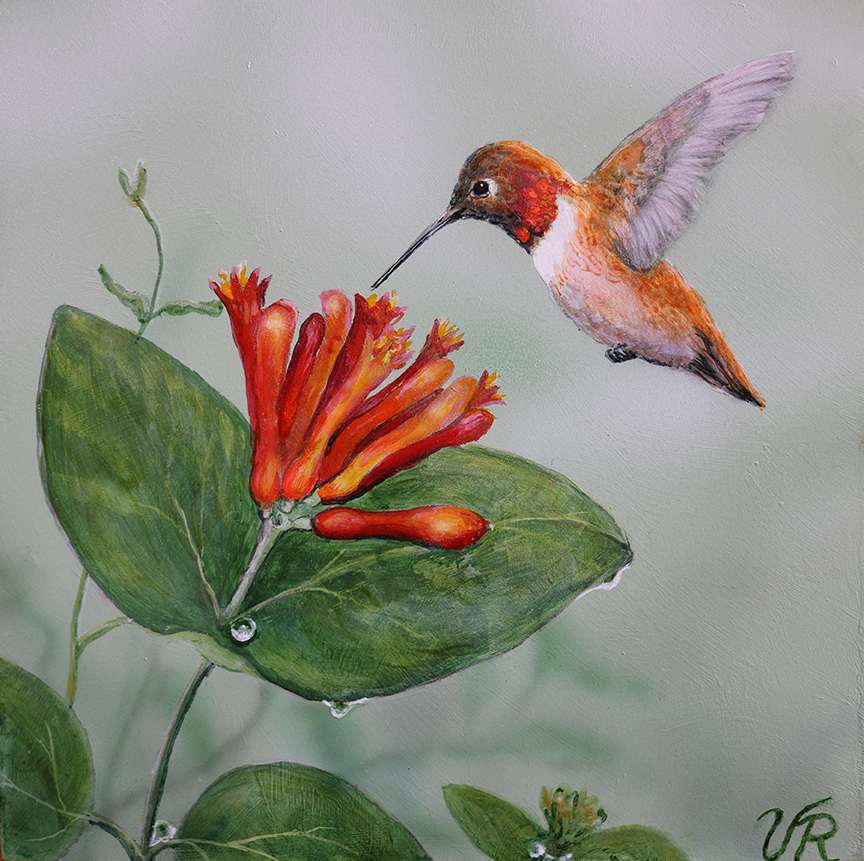 VR – Hummingbird © Valerie Rogers
