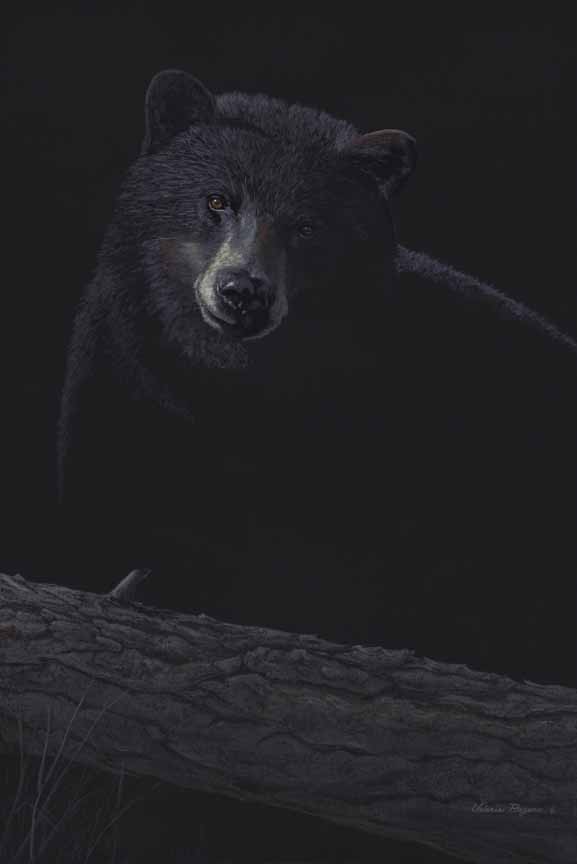 VR – Out of the Dark – Bear © Valerie Rogers