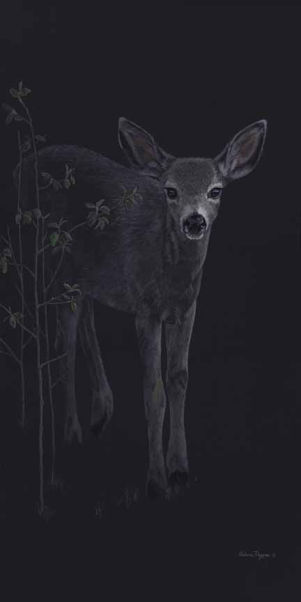 VR – Out of the Dark – Fawn © Valerie Rogers