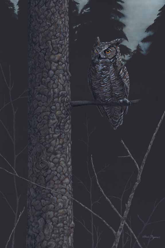 VR – Out of the Dark – Owl © Valerie Rogers