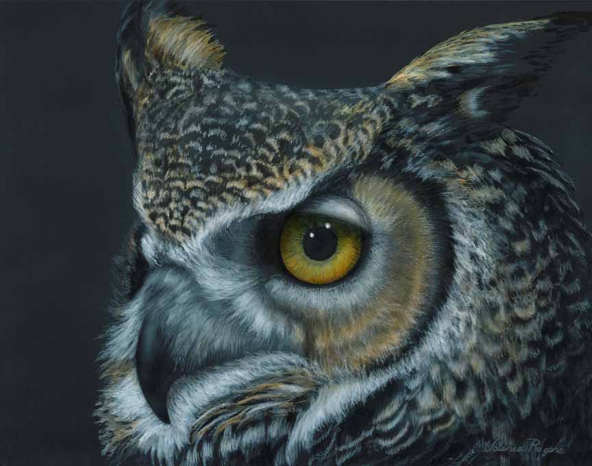VR – Owl Eye © Valerie Rogers
