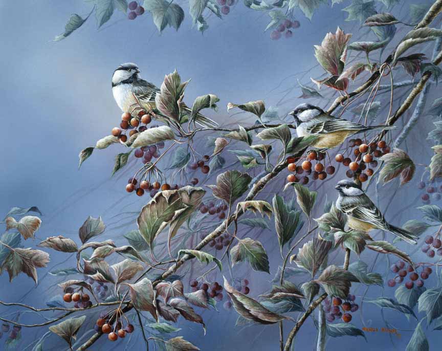 WM – 1Songbird – Autumn Splendor © Wanda Mumm