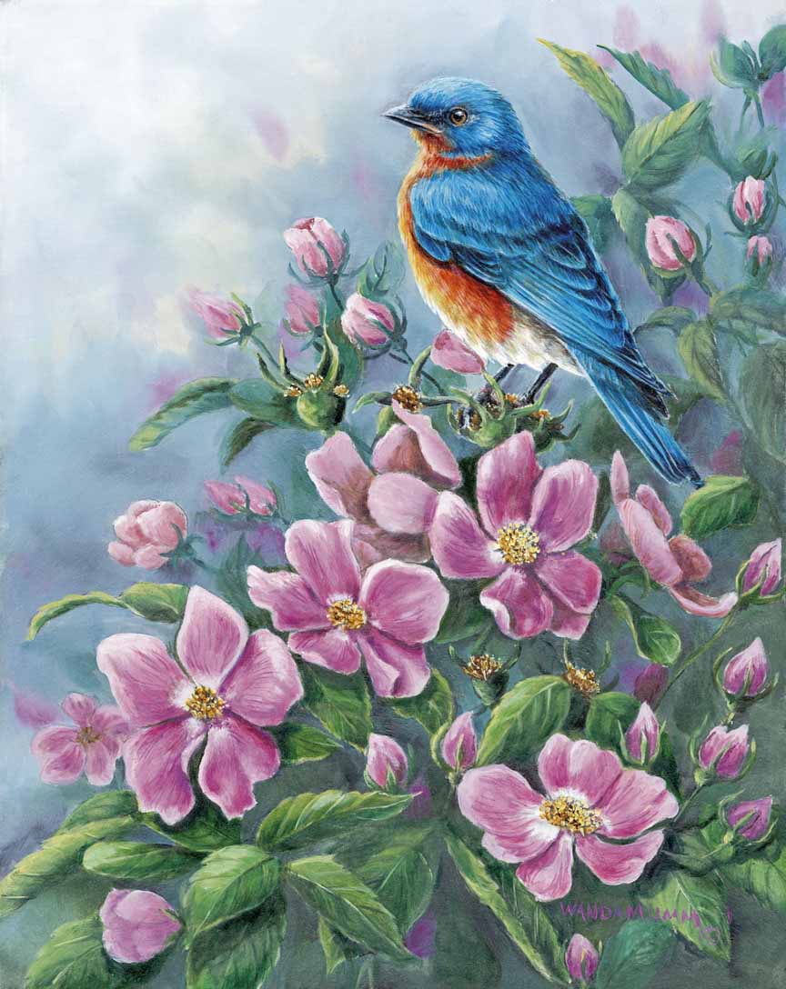 WM – 1Songbird – Bluebird and Wild Roses © Wanda Mumm