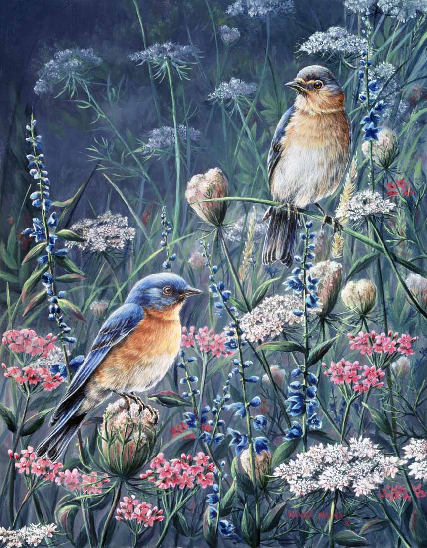 WM – 1Songbird – Bluebird and Wildflowers © Wanda Mumm