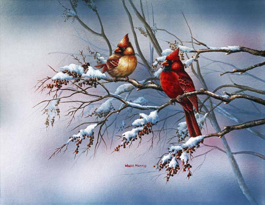 WM – 1Songbird – Cardinal in Sumac © Wanda Mumm