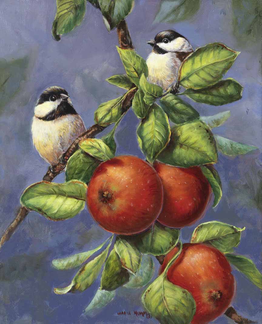 WM – 1Songbird – Chickadees and Apples © Wanda Mumm