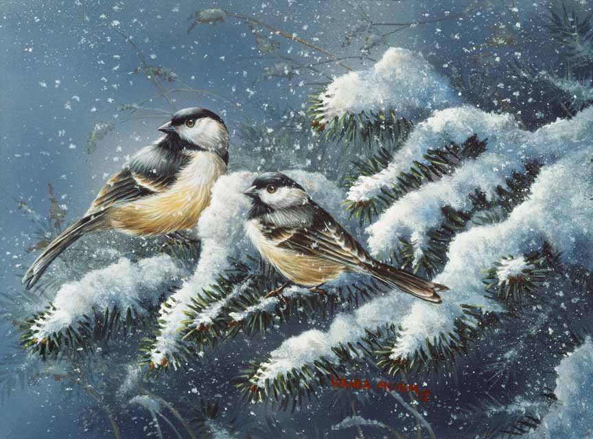 WM – 1Songbird – December Chickadee © Wanda Mumm