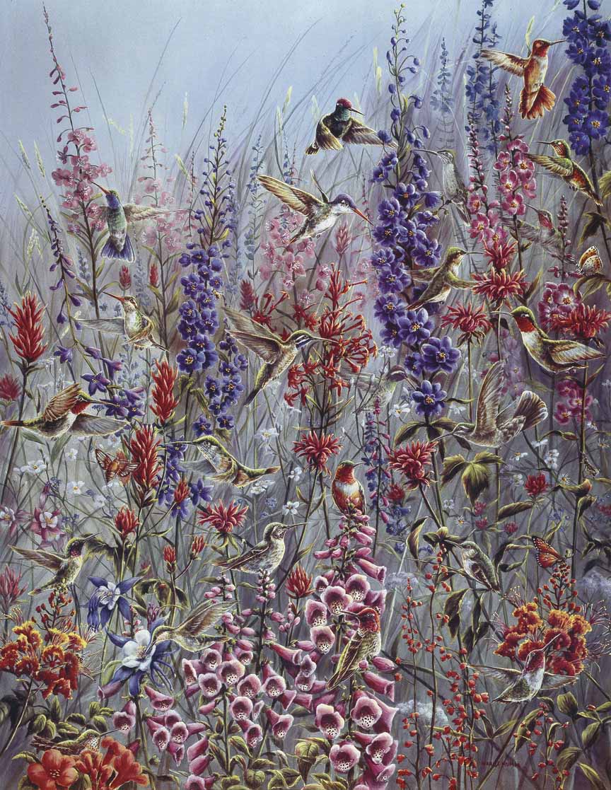 WM – 1Songbird – Garden Jewels © Wanda Mumm
