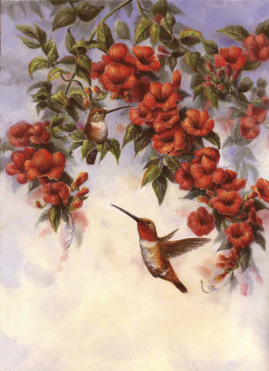 WM – 1Songbird – Hummingbird and Trumpetvine © Wanda Mumm