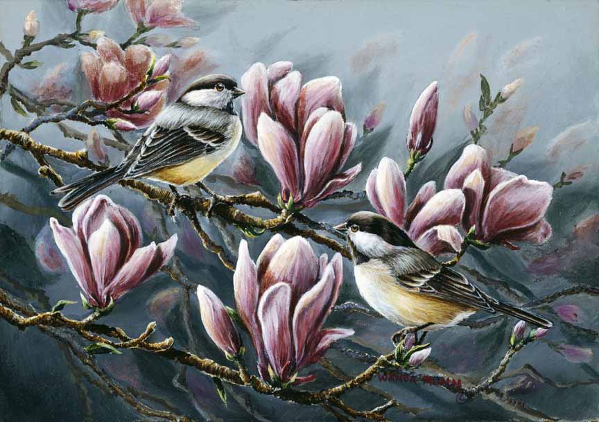 WM – 1Songbird – Magnolia Chickadees © Wanda Mumm