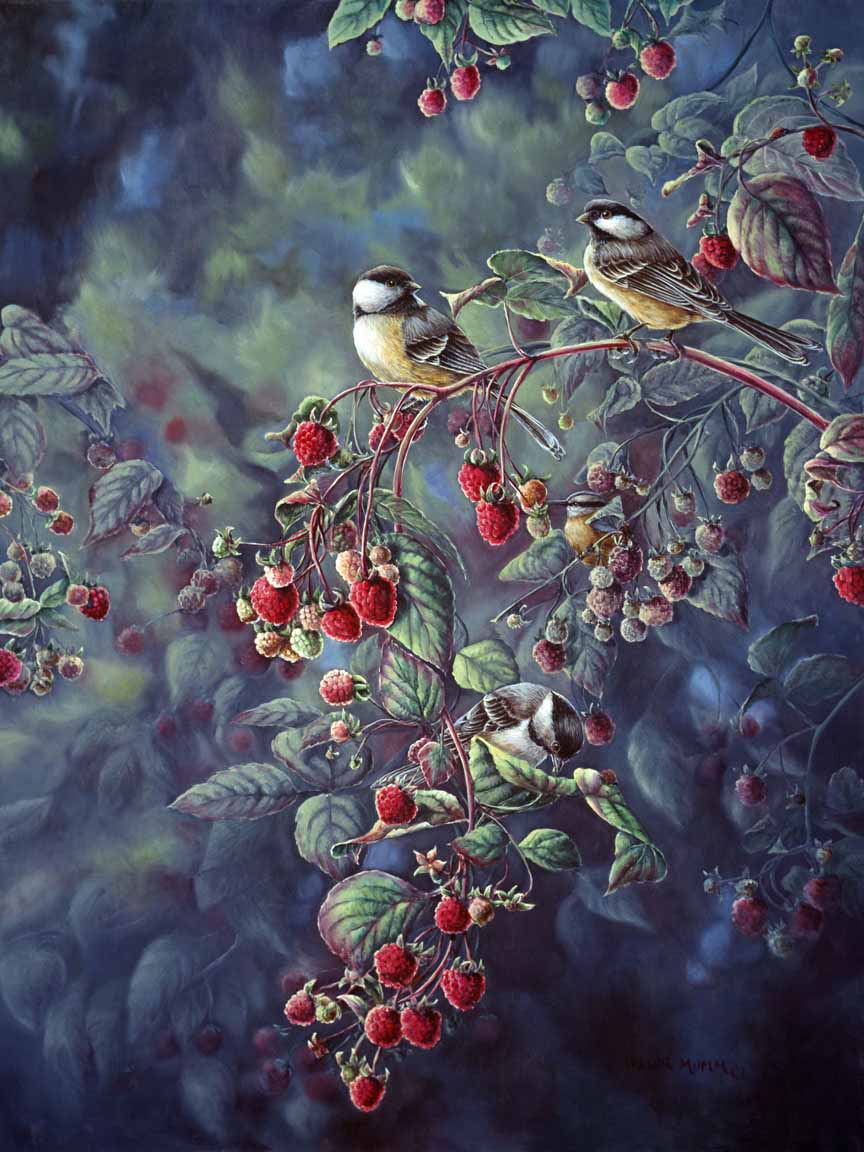 WM – 1Songbird – Red Raspberries and Chickadees © Wanda Mumm