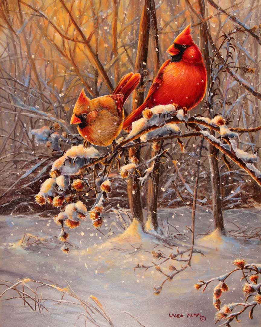 WM – 1Songbird – Snow Fire – Sunset © Wanda Mumm