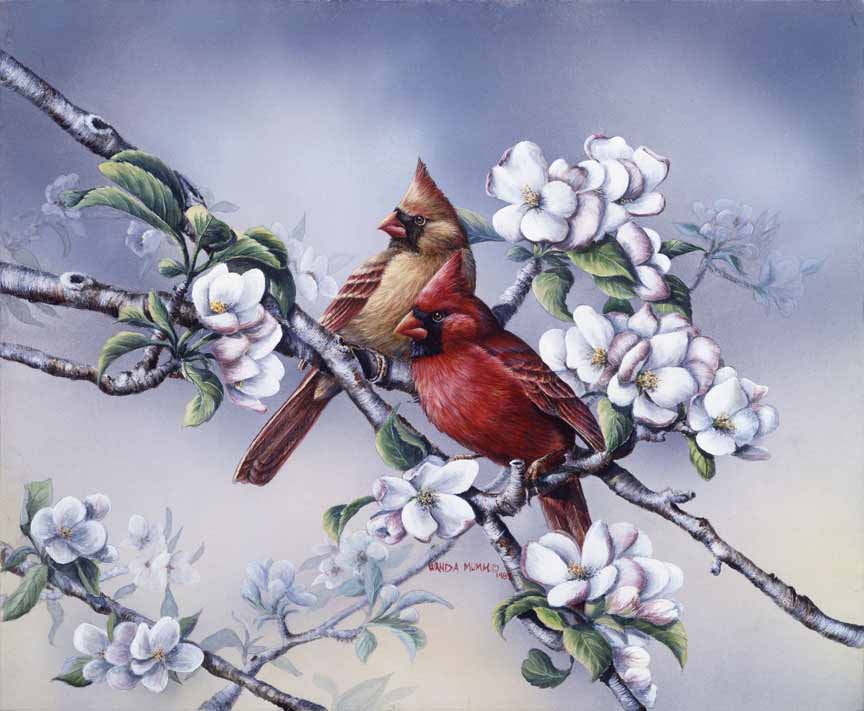 WM – 1Songbird – Spring Cardinals © Wanda Mumm