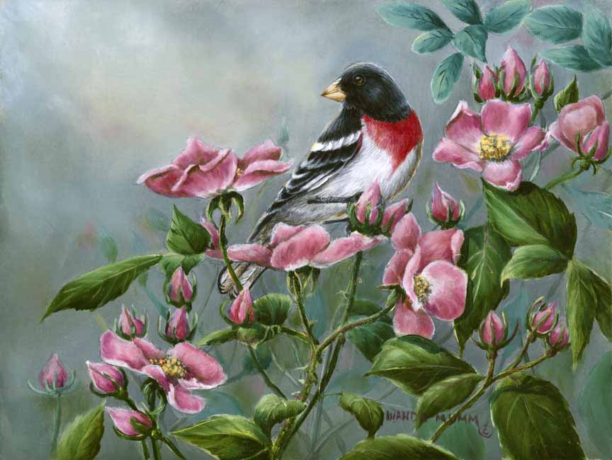 WM – 1Songbird – The Roses © Wanda Mumm