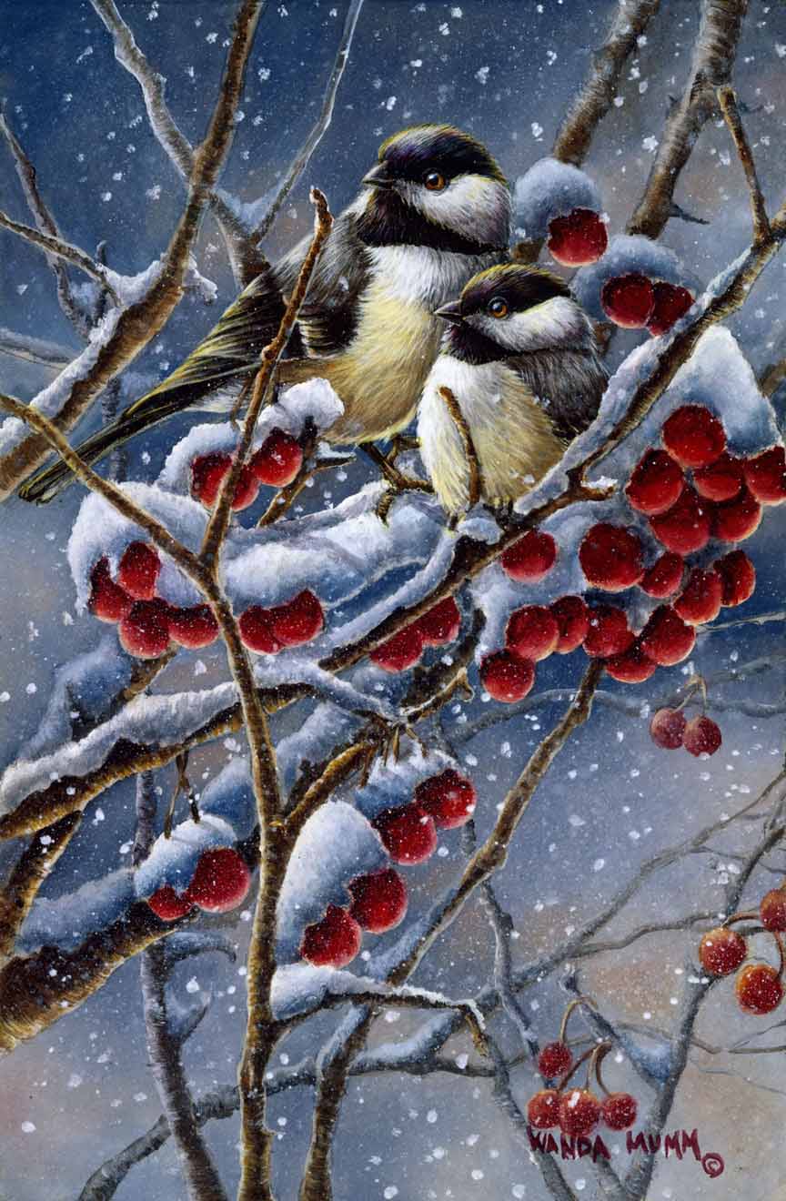 WM – 1Songbird – Winter Chickadees and Berries © Wanda Mumm