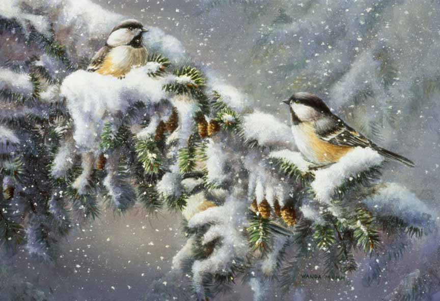 WM – 1Songbird – Winter Companions © Wanda Mumm