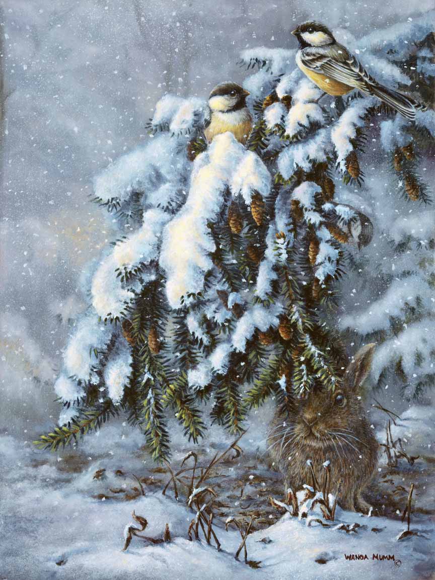 WM – 1Songbird – Winter Hideout © Wanda Mumm