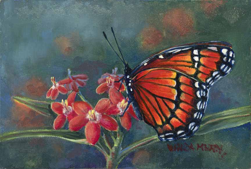WM – 2Butterfly – Monarch © Wanda Mumm